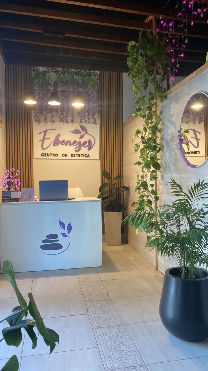 Recepción de Ebenezer Centro de Estética con el logo, plantas y luz cálida